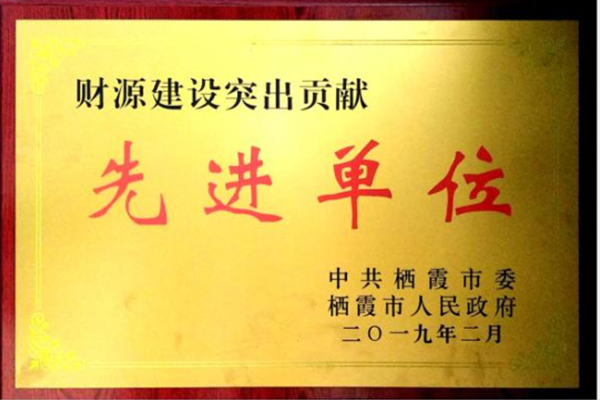 财源建設突出(chu)貢獻先進單位