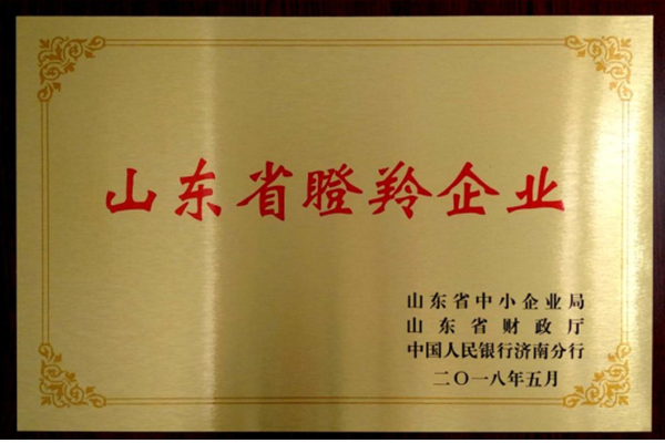 山東省(shěng)瞪羚企業